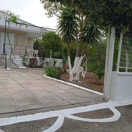 Sunrise Seaside *